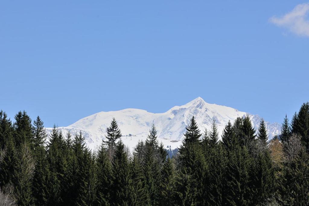 Chalet Le Prariand - Megève Dış mekan fotoğraf